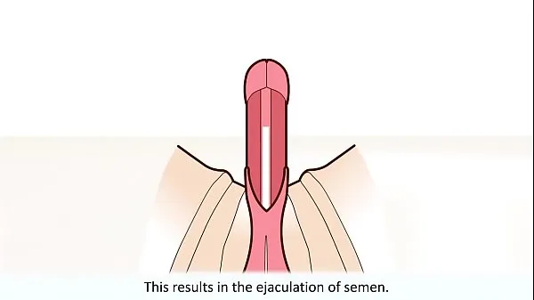 Parhaat The male orgasm explained energiavideot