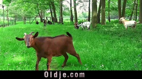 Najlepšie videá o Ugly step old dad seduced by young hot step daughter for sex energii