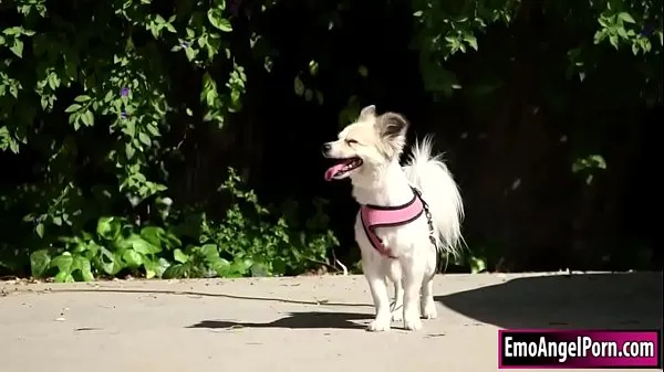 Meilleures vidéos sur l’énergie p. tatouée trouve son chien chez ses voisins. Son voisin veut une récompense, ils enlèvent leurs vêtements et elle gorge ensuite son voisin bigcock. En retour, son voisin baise sa chatte et son âne profondément et durement jusqu'à ce qu'il jouis